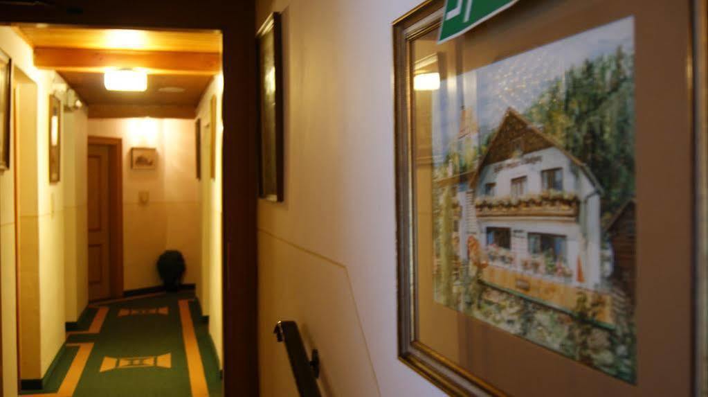 Gasthof Pension St. Wolfgang Kirchberg am Wechsel Exterior foto